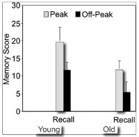 memory study data 1